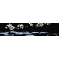 КУХОННЫЙ ФАРТУК SP 067