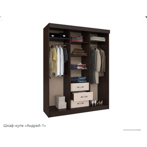 Шкаф-купе «Андрей-1»