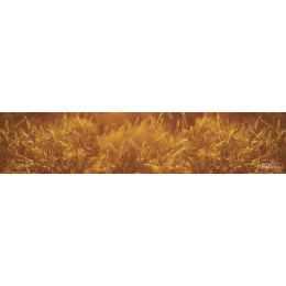 КУХОННЫЙ ФАРТУК SP 170