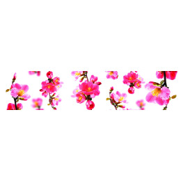 КУХОННЫЙ ФАРТУК SP 138