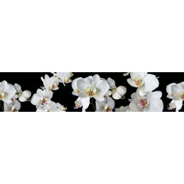 КУХОННЫЙ ФАРТУК SP 194