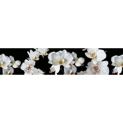 КУХОННЫЙ ФАРТУК SP 194