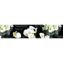 КУХОННЫЙ ФАРТУК SP 086