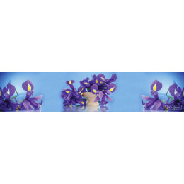 КУХОННЫЙ ФАРТУК SP 144