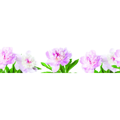 КУХОННЫЙ ФАРТУК SP 142