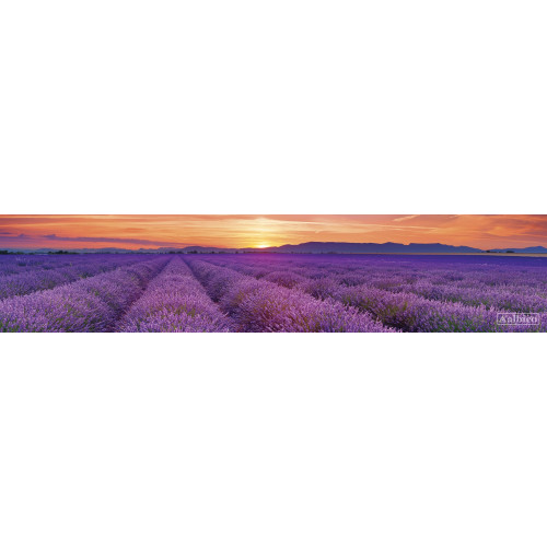 КУХОННЫЙ ФАРТУК SP 157