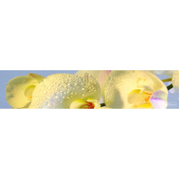 КУХОННЫЙ ФАРТУК SP 018