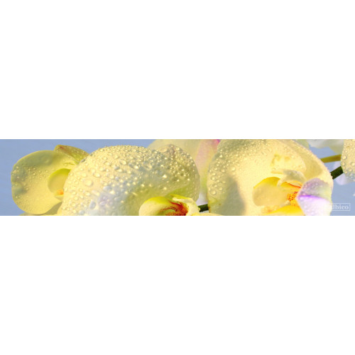 КУХОННЫЙ ФАРТУК SP 018