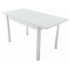 Стол «Гамбург» стекло СВ, белый