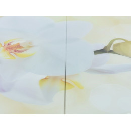 Стол «Ривьера» фотопечать Цветы-5, хром