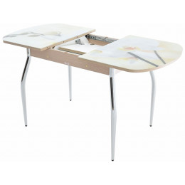 Стол «Ривьера» фотопечать Цветы-5, хром