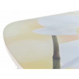 Стол «Ривьера» фотопечать Цветы-5, хром