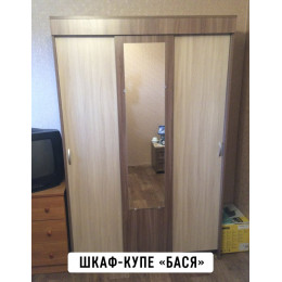 Шкаф-купе Вавилон(Бася)