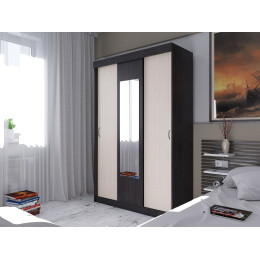 Шкаф-купе Вавилон(Бася)