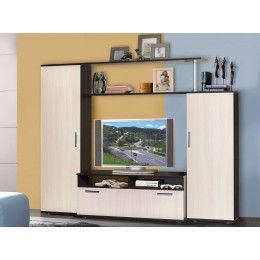 Стенка Флокс 1