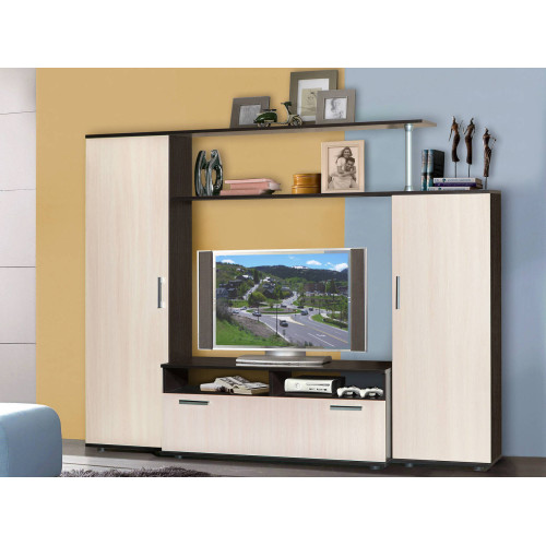 Стенка Флокс 1