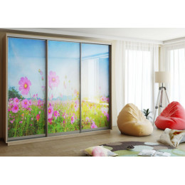 Шкаф-купе "ЛЕО" (космеи)