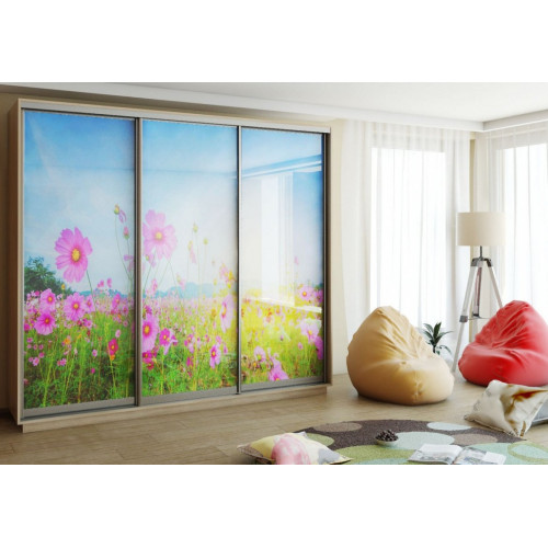 Шкаф-купе ЛЕО (космеи)