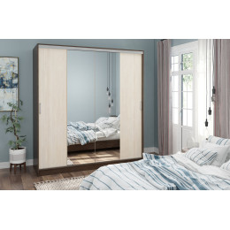 Шкаф-купе Альянс-3 2000