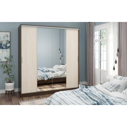 Шкаф-купе Альянс-3 2000