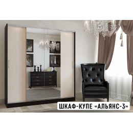 Шкаф-купе Альянс-3 2000