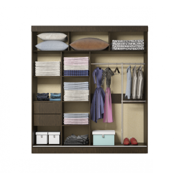 Шкаф-купе "Орфей-5" 1700 мм