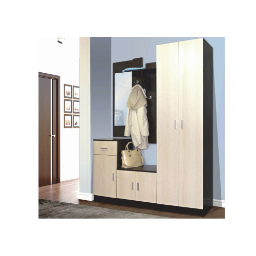 Прихожая Виола-4