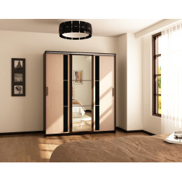 Шкаф-купе Европа 2м