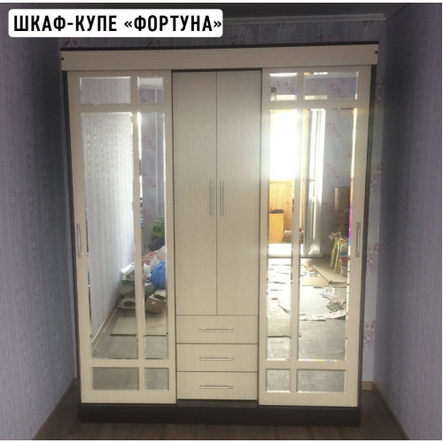 Шкаф-купе Фортуна (Вавилон)