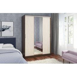 Шкаф-купе Альянс-2 1500