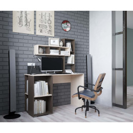 Компьютерный стол "Олимп"