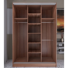 Шкаф-купе Альянс-2 1500