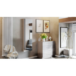 Панель с зеркалом со встроенной гладильной доской Тип-1 ТД 901.16