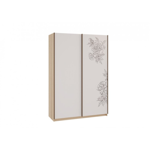 Шкаф-купе Зара