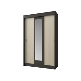 Шкаф-купе Бася 2.0