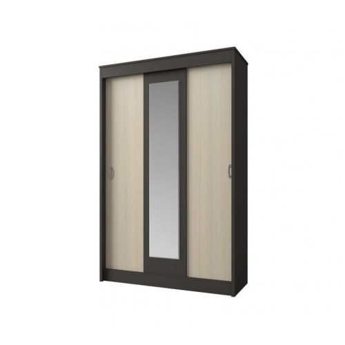 Шкаф-купе Бася 2.0