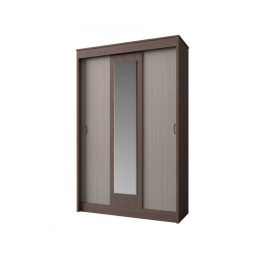 Шкаф-купе Бася 2.0