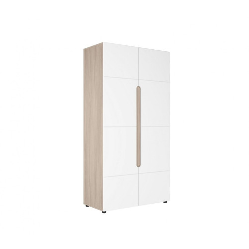 Шкаф 2х-створчатый Палермо-3