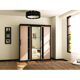 Шкаф-купе Европа 1,5м.