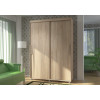 Шкаф-купе без зеркал Комфорт-12 ПРАЙМ 1,5 м