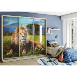 Шкаф-купе "ЛЕО" (Лев)