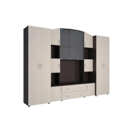 Стенка Макарена-8