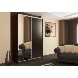 Шкаф-купе ''Рио 1-600''