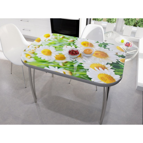 Стол со стеклом Ромашки