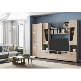 Шкаф с выдвижной штангой "Моника" ШК-104