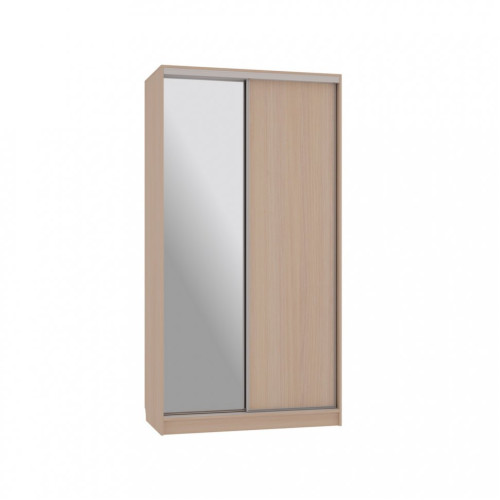 Шкаф-купе Рио 1-600