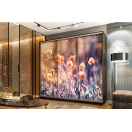 Шкаф-купе "ЛЕО" (купальницы)