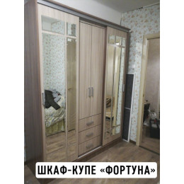 Шкаф-купе Фортуна (Маэстро) (ясень шимо тёмный/ясень шимо светлый)