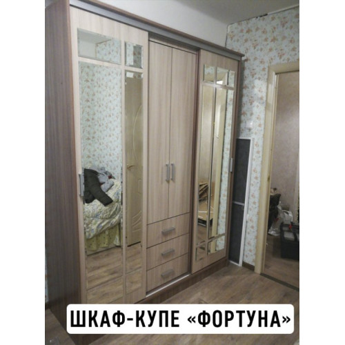 Шкаф-купе Фортуна (Маэстро) (ясень шимо тёмный/ясень шимо светлый)