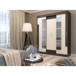 Шкаф-купе Феникс 1.7м